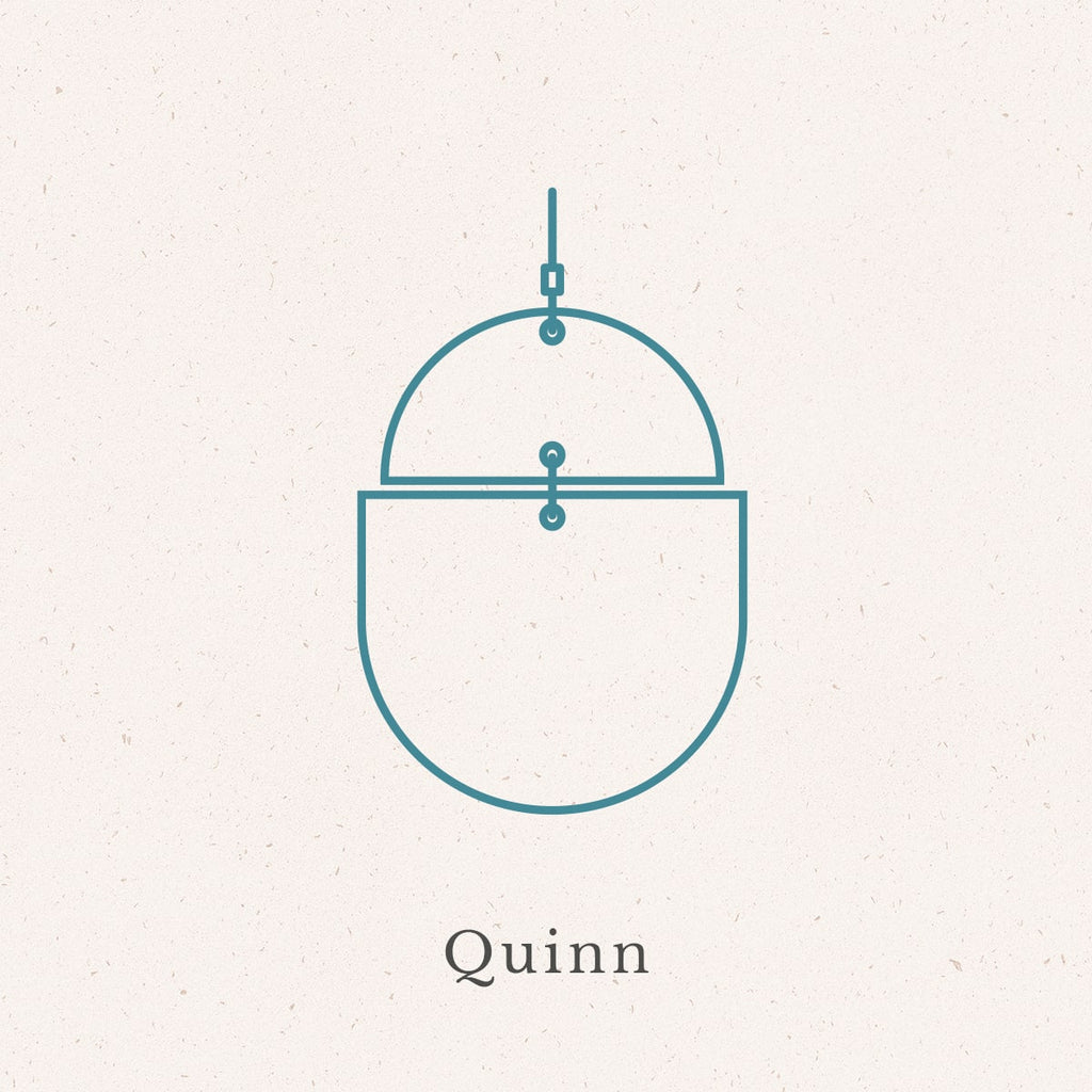 The Quinn